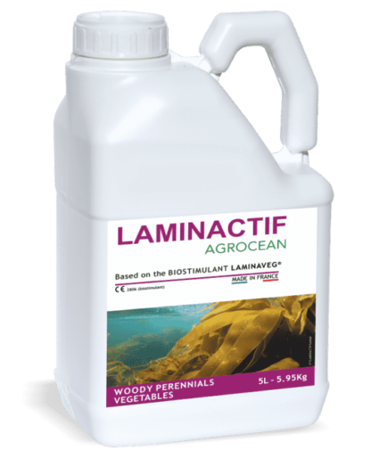 laminactif-kep-1