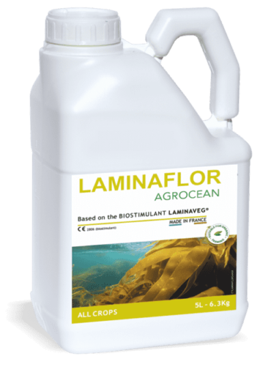 laminaflor-1